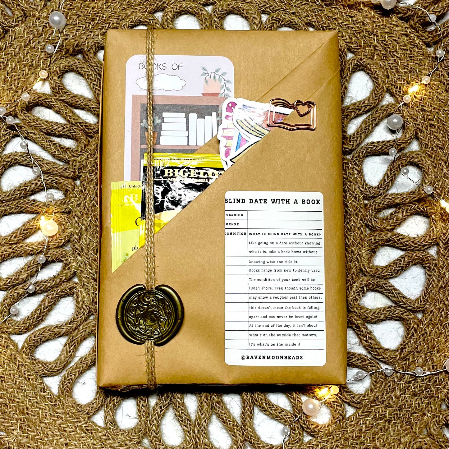 Blind Date With An Indie Author Book