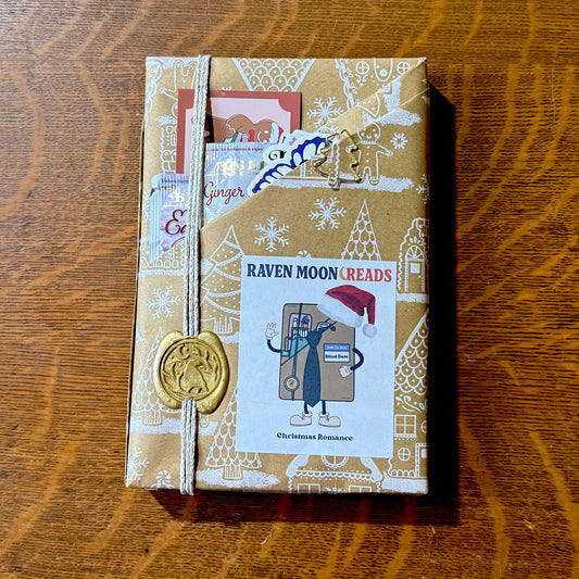 Holiday Blind Date With a Book – New Curated Book Gift (Choose Genre + Extras)